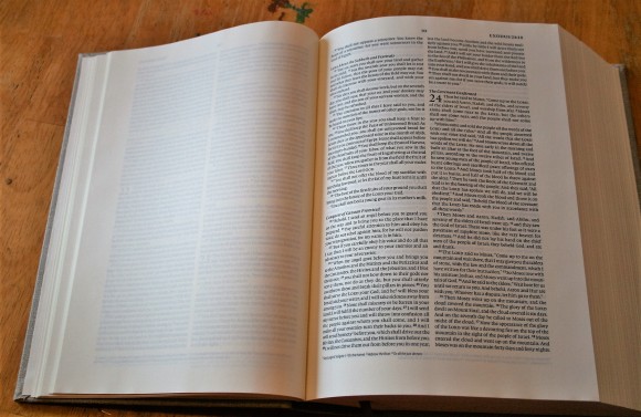 ESV Journaling Bible Interleaved Edition (6)