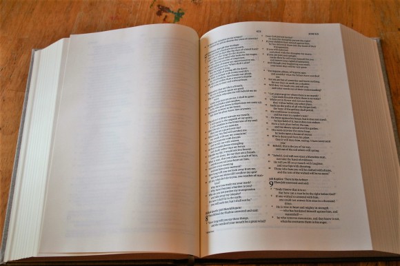 ESV Journaling Bible Interleaved Edition (8)
