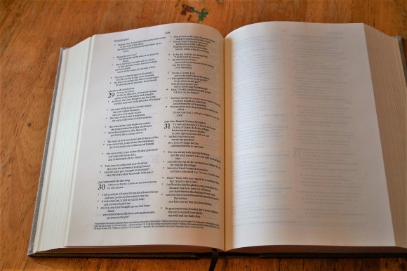 ESV Journaling Bible Interleaved Edition (9)