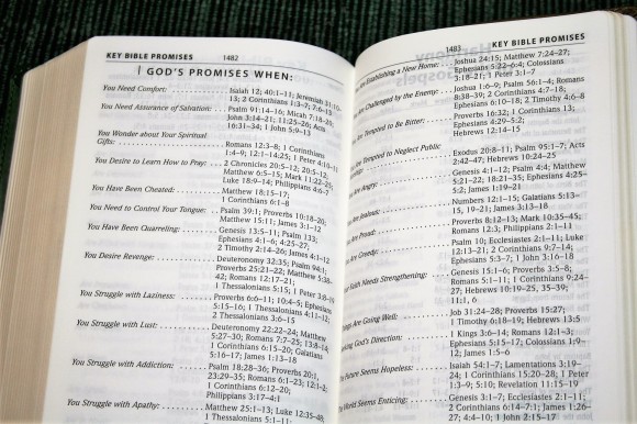 Hendrickson Personal Size Giant Print Reference Bible KJV (12)