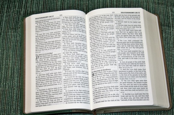 Hendrickson Personal Size Giant Print Reference Bible KJV (6)