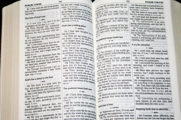 Hendrickson Personal Size Giant Print Reference Bible KJV (7)