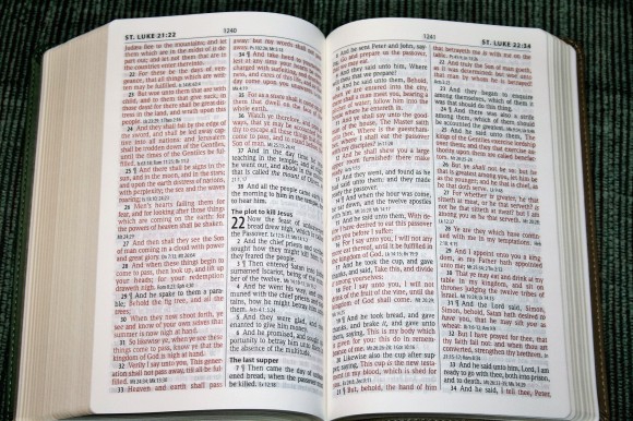 Hendrickson Personal Size Giant Print Reference Bible KJV (8)