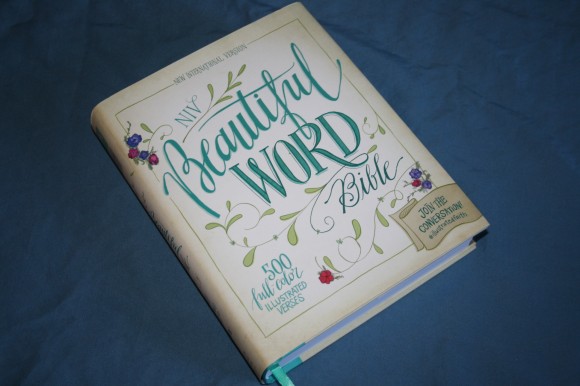 NIV Beautiful Word Bible (5)