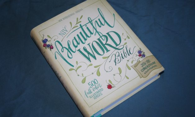 NIV Beautiful Word Bible Review