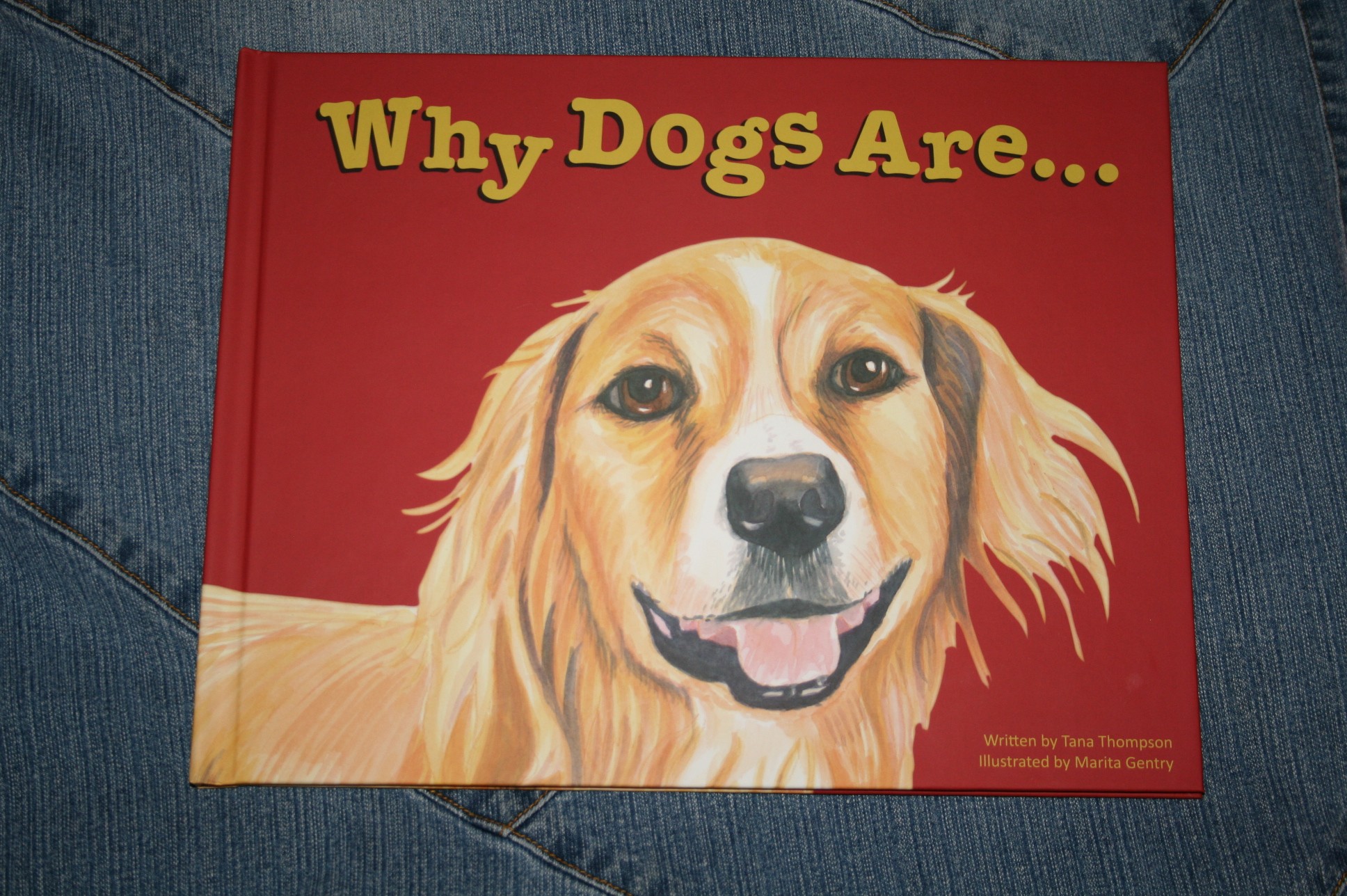 why-dogs-are-review-bible-buying-guide