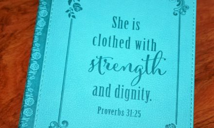 Strength and Dignity Flexcover Journal Review