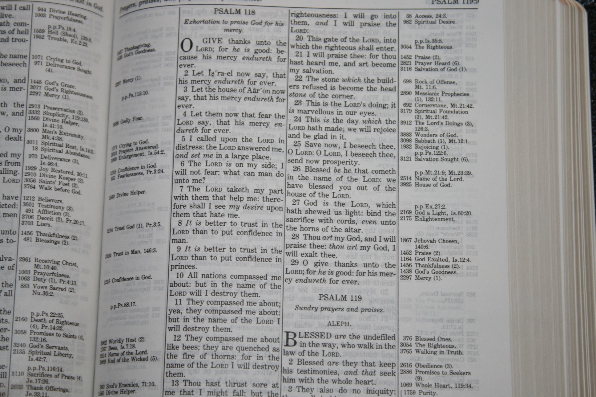 Handy Size Thompson Chain Reference Bible KJV (124)