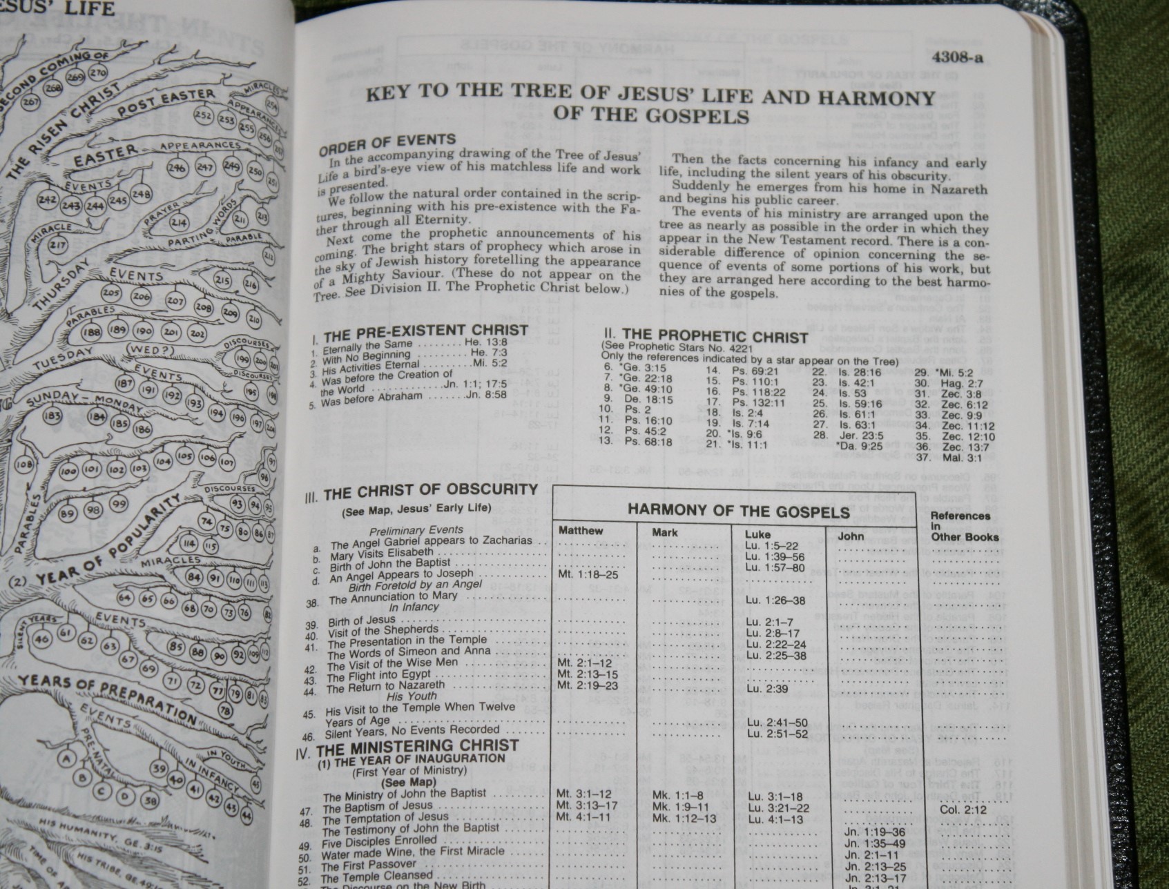 Handy Size Thompson Chain Reference Bible KJV (191)