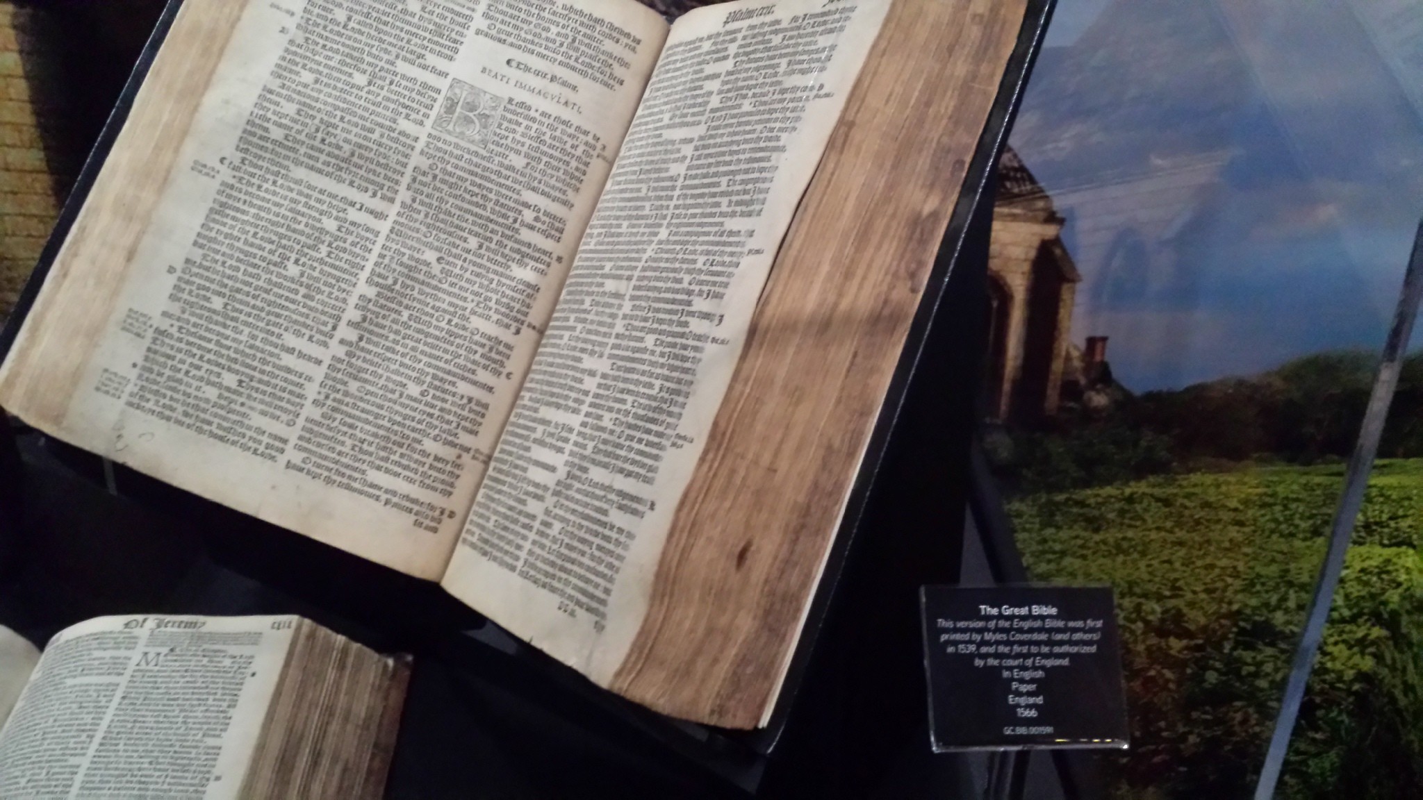 Ark Encounter - Museum of the Bible Exhibit - Bible Buying Guide