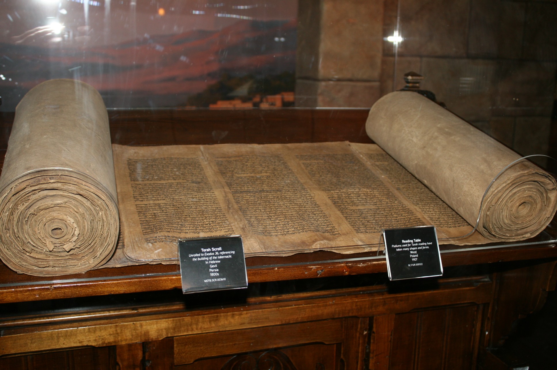 Ark Encounter - Museum of the Bible Exhibit - Bible Buying Guide