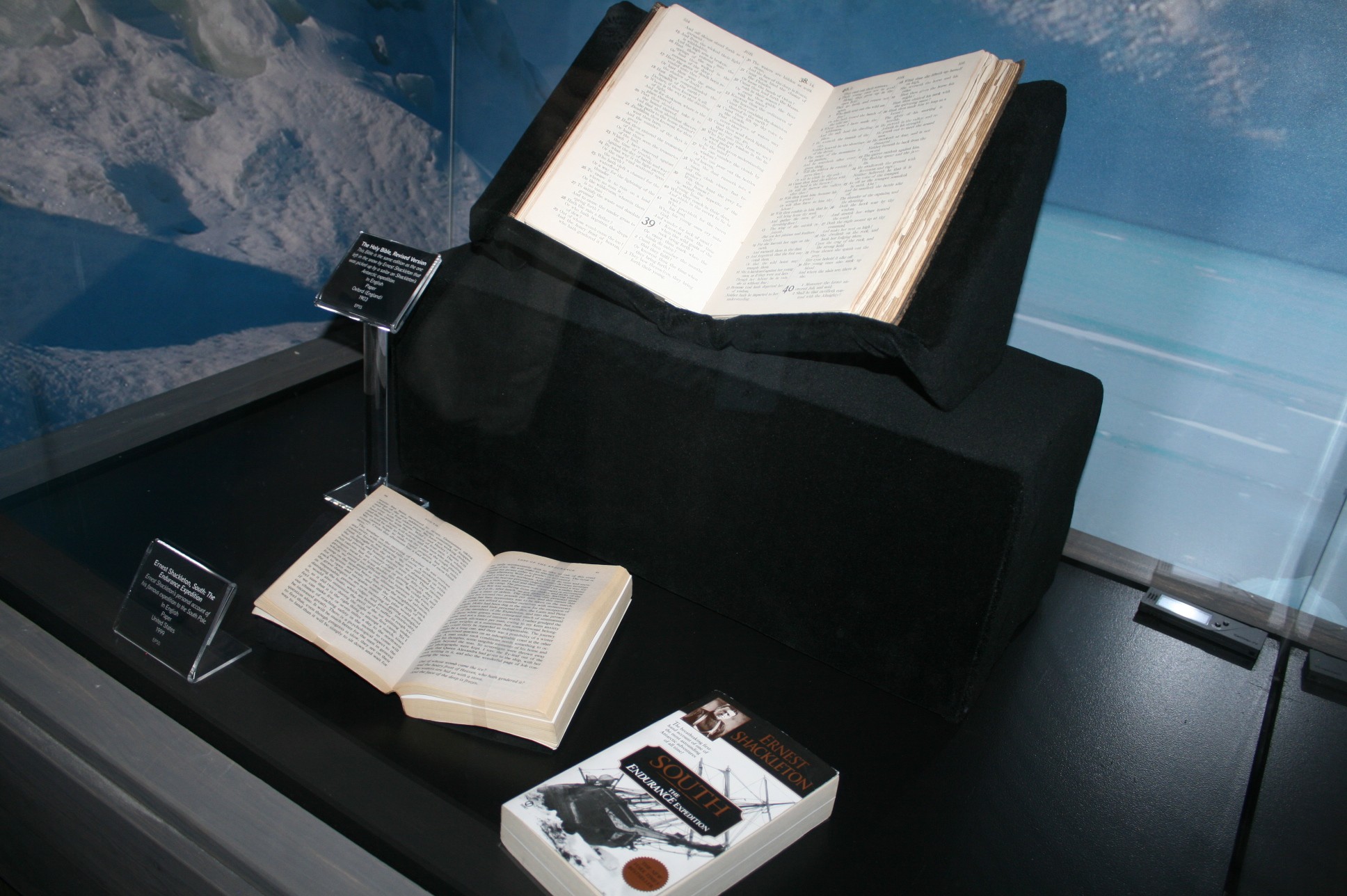 Ark Encounter - Museum of the Bible Exhibit - Bible Buying Guide