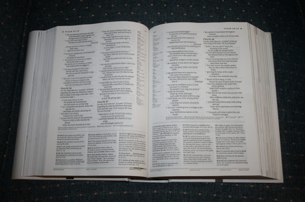 NLT Illustrated Study Bible (20)
