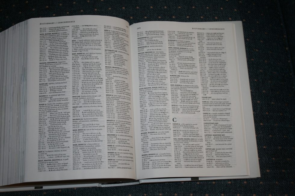 NLT Illustrated Study Bible (35)