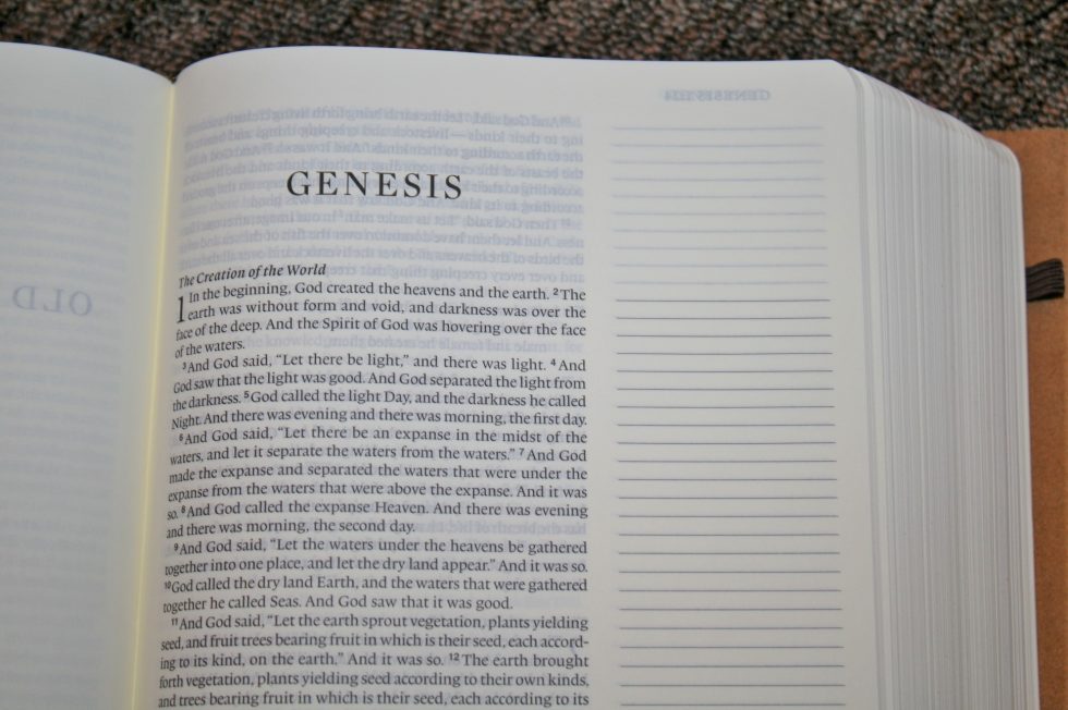 ESV Single Column Journaling Bible Large Print Edition (17)