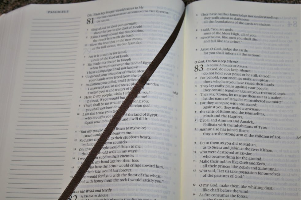 ESV Single Column Journaling Bible Large Print Edition (21)
