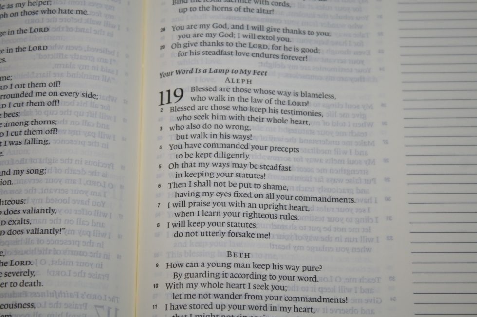 ESV Single Column Journaling Bible Large Print Edition (22)