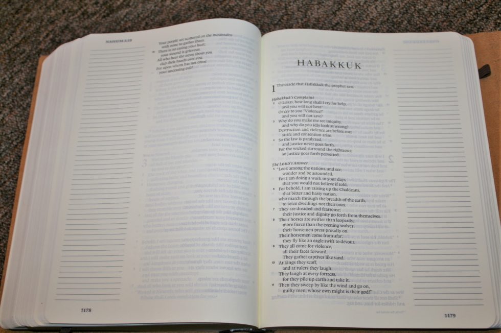 ESV Single Column Journaling Bible Large Print Edition (23)