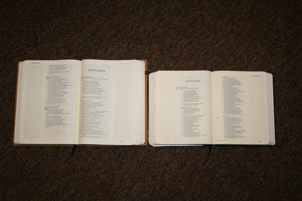 ESV Single Column Journaling Bible Large Print Edition (6)