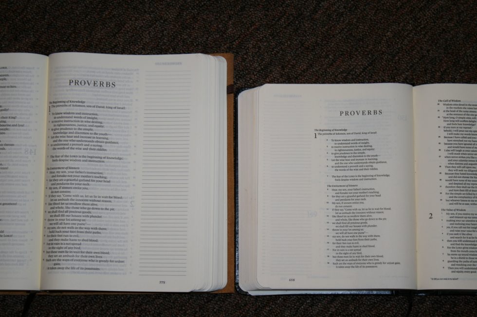 ESV Single Column Journaling Bible Large Print Edition (7)