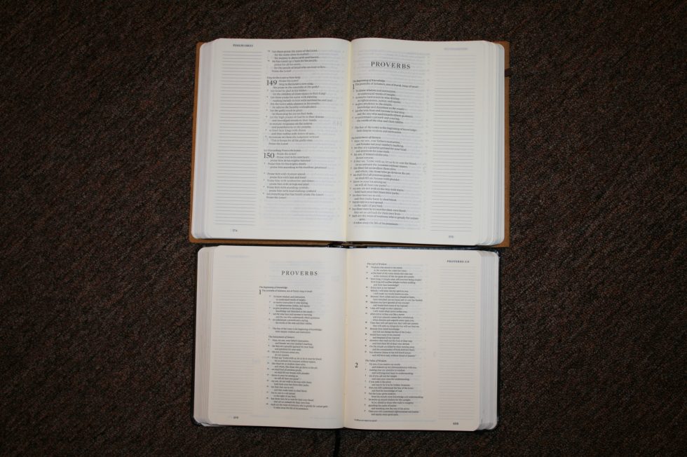 ESV Single Column Journaling Bible Large Print Edition (8)