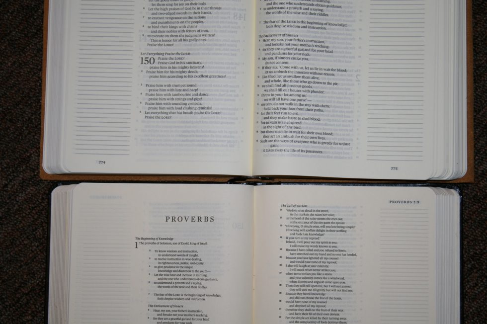 ESV Single Column Journaling Bible Large Print Edition (9)