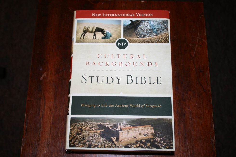 NIV Cultural Backgrounds Study Bible (46)