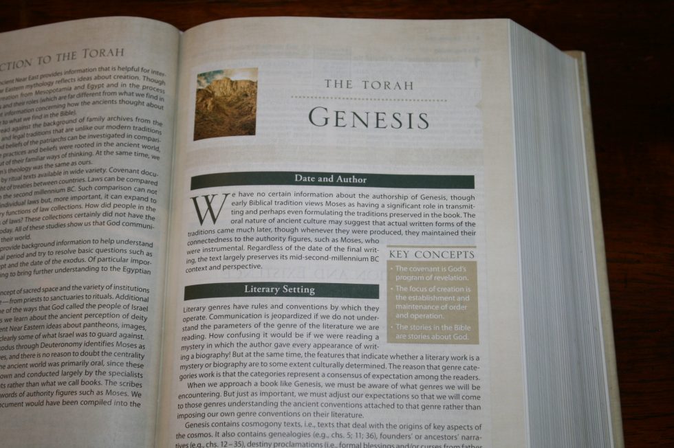NIV Cultural Backgrounds Study Bible (63)
