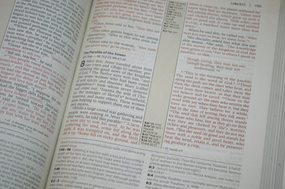 NIV Cultural Backgrounds Study Bible (78)