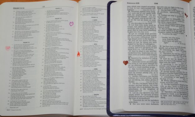ROUNDz Stamps – Bible Set from Mason Row