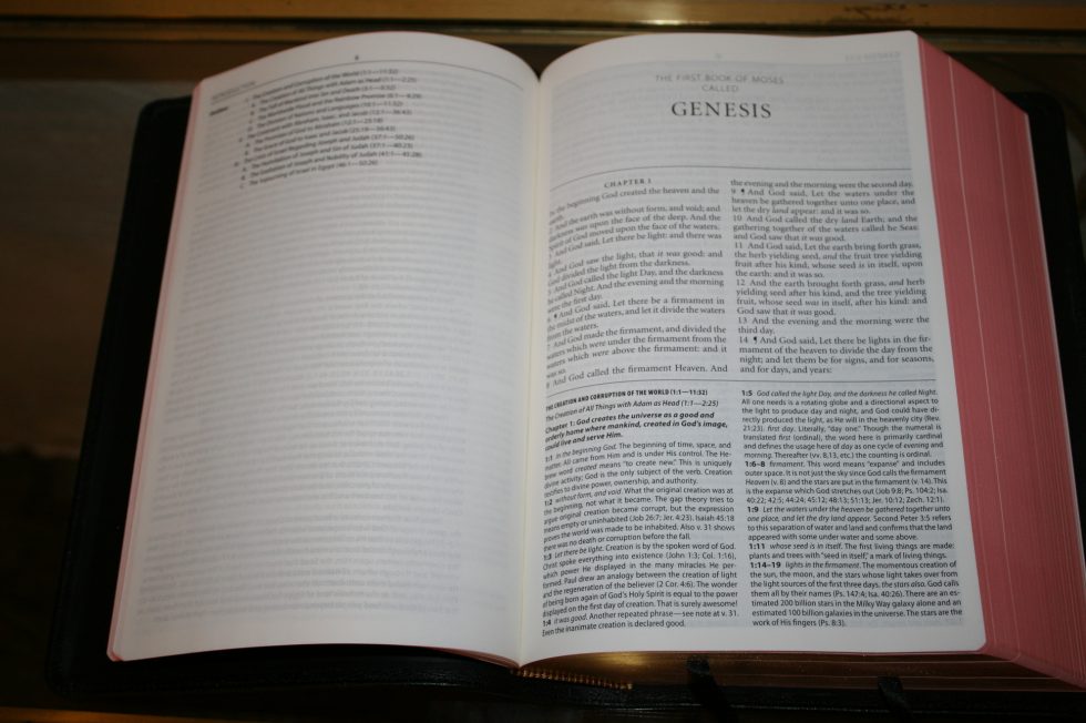 The Reformation Heritage KJV Study Bible (23)