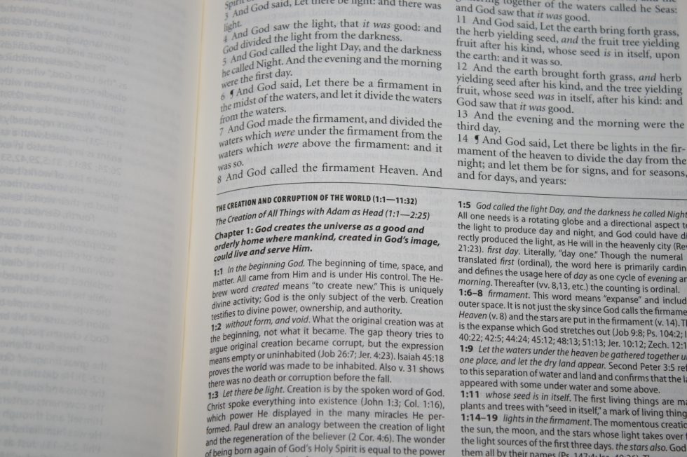 The Reformation Heritage KJV Study Bible (25)