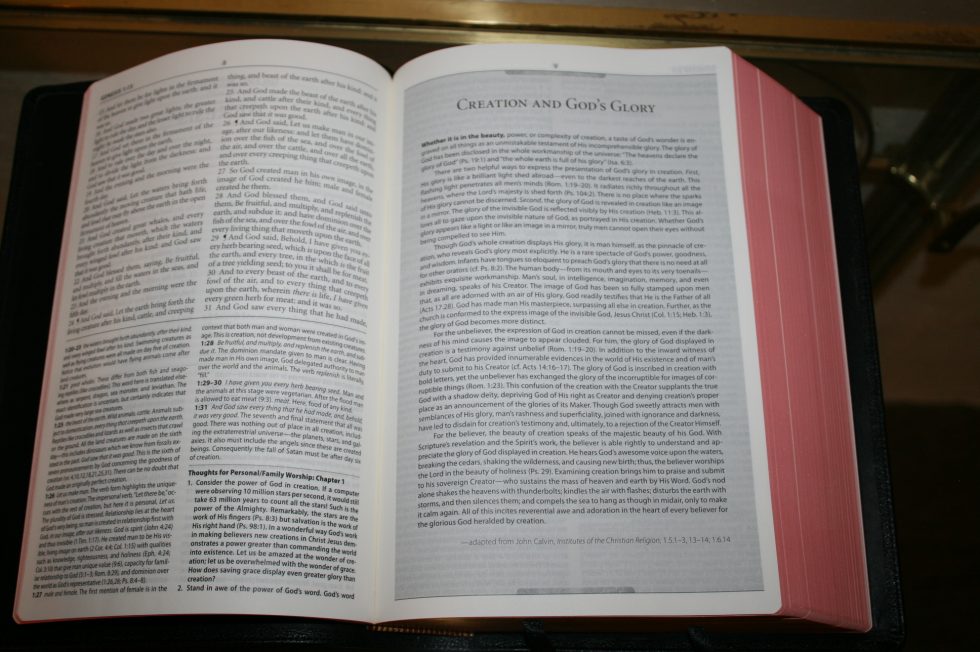 The Reformation Heritage KJV Study Bible (27)