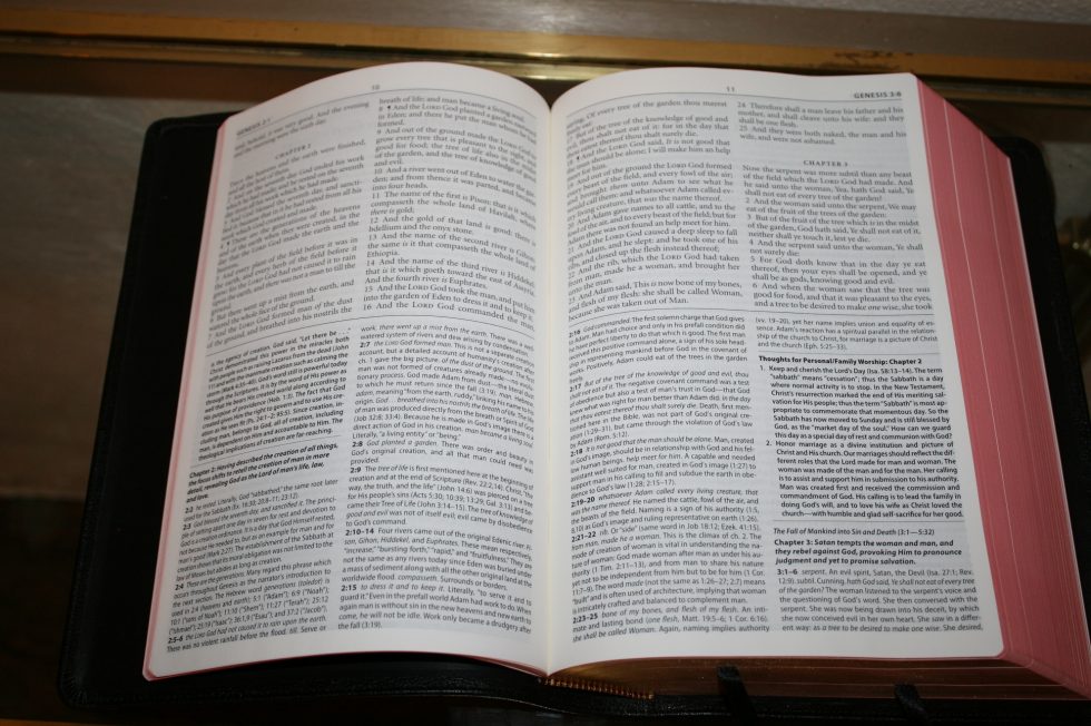 The Reformation Heritage KJV Study Bible (28)