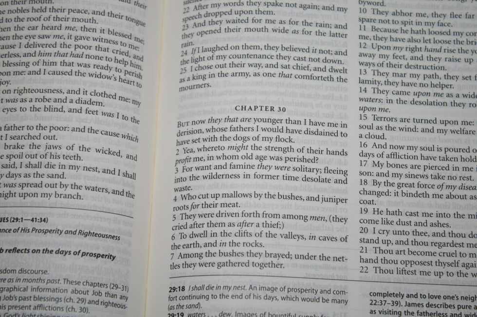 The Reformation Heritage KJV Study Bible (30)
