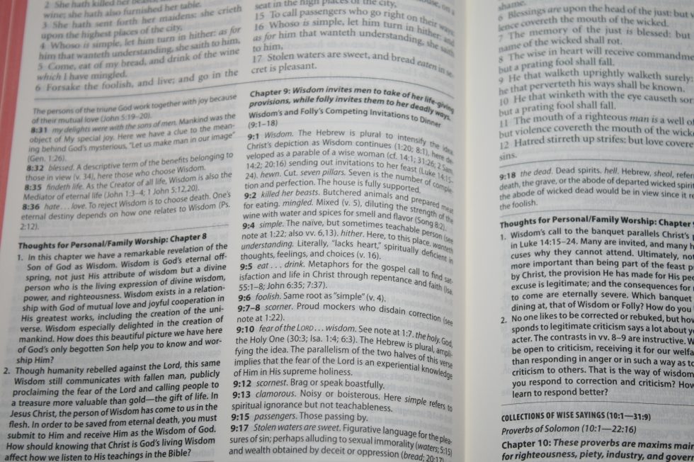The Reformation Heritage KJV Study Bible (31)