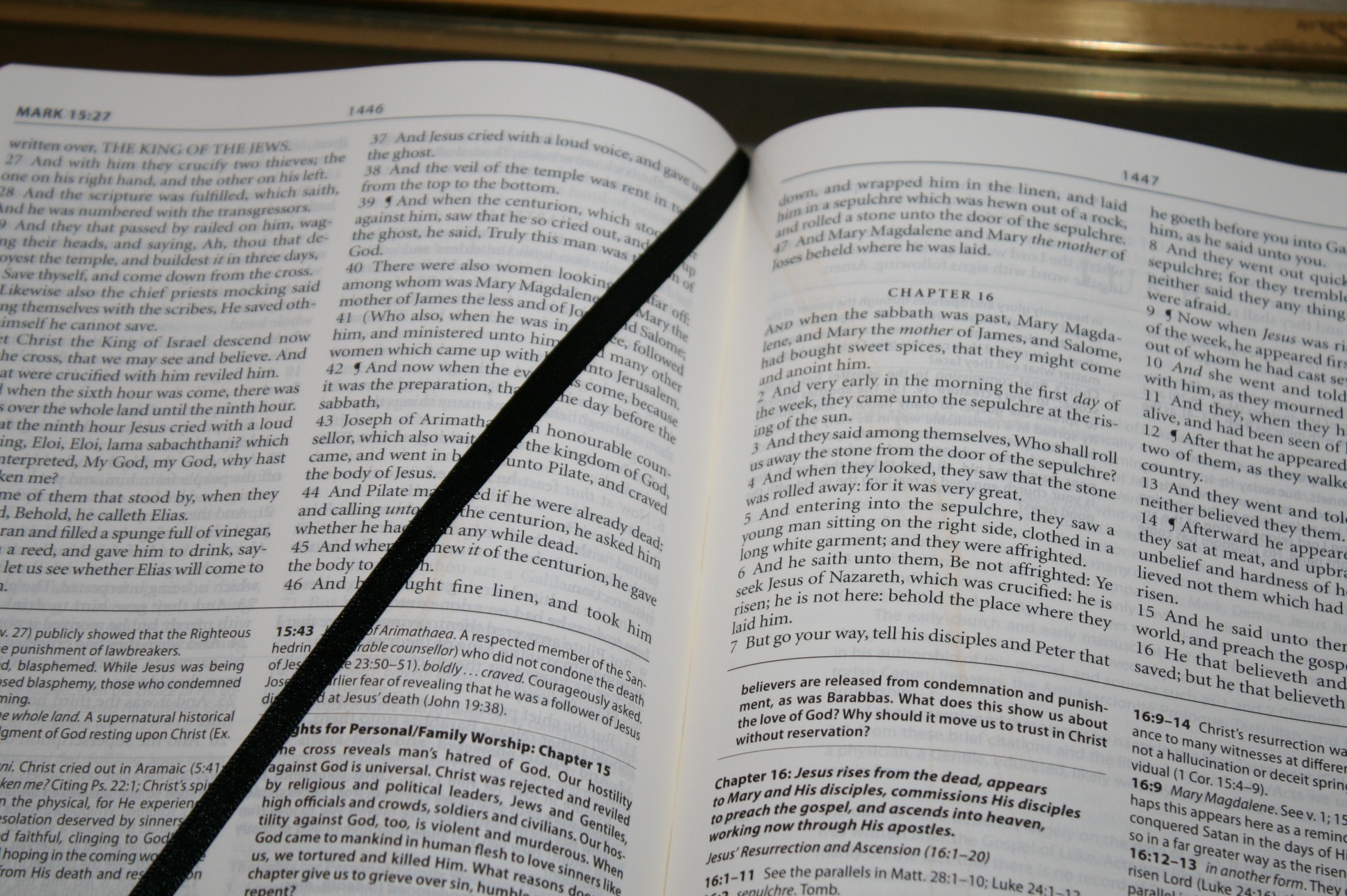 The Reformation Heritage KJV Study Bible (32) - Bible Buying Guide