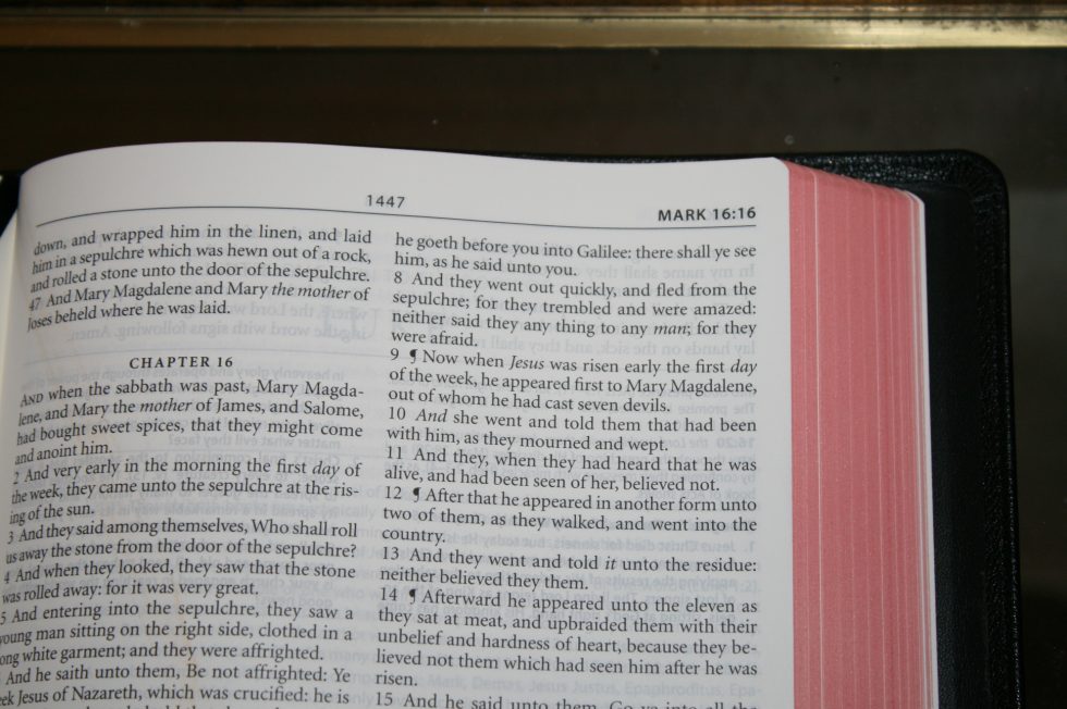 The Reformation Heritage KJV Study Bible (33)