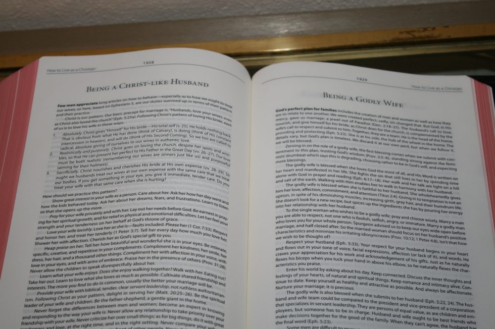 The Reformation Heritage KJV Study Bible (39)