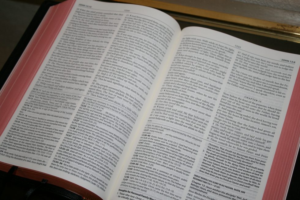The Reformation Heritage KJV Study Bible (51)