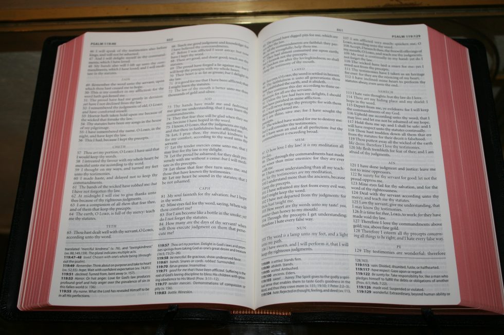 The Reformation Heritage KJV Study Bible (52)