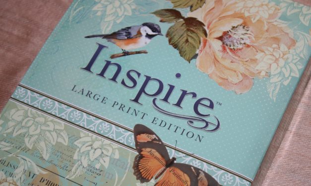 Inspire Bible: Large Print Edition Review