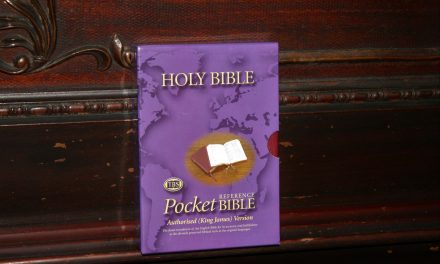 TBS Pocket Reference Bible KJV in Burgundy Calfskin – Review