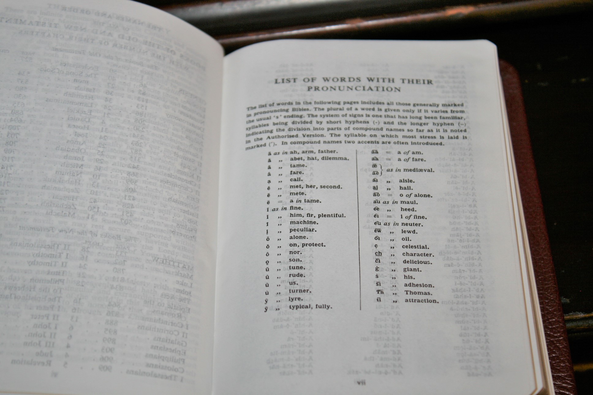 TBS Pocket Reference Bible (10) Bible Buying Guide