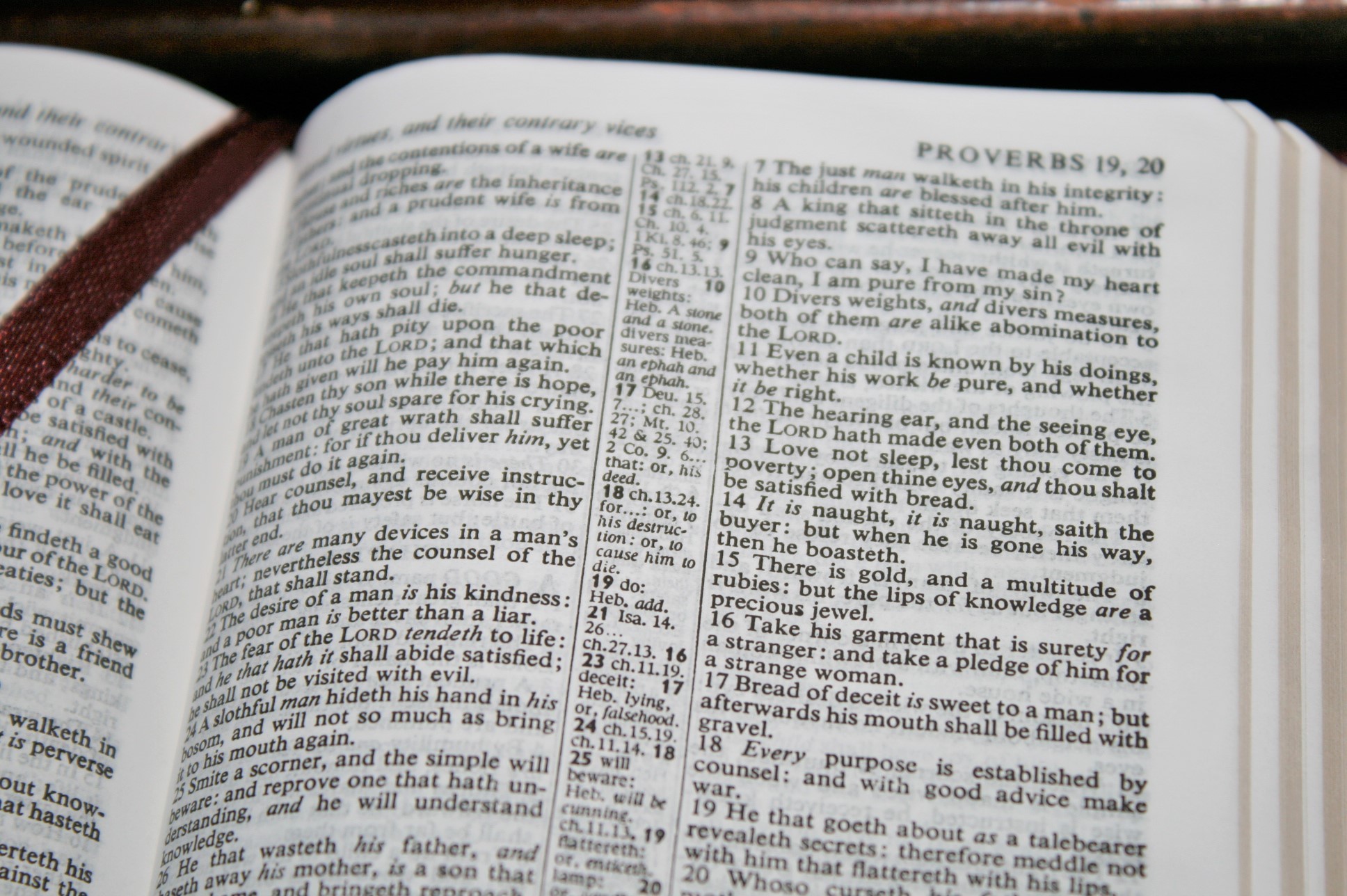 TBS Pocket Reference Bible KJV in Burgundy Calfskin Review Bible Buying Guide