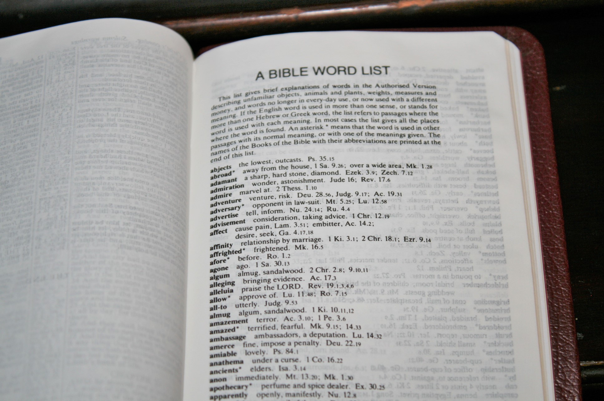 TBS Pocket Reference Bible (20) Bible Buying Guide