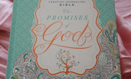 Quick Look – MEV The Promises of God Creative Journaling Bible