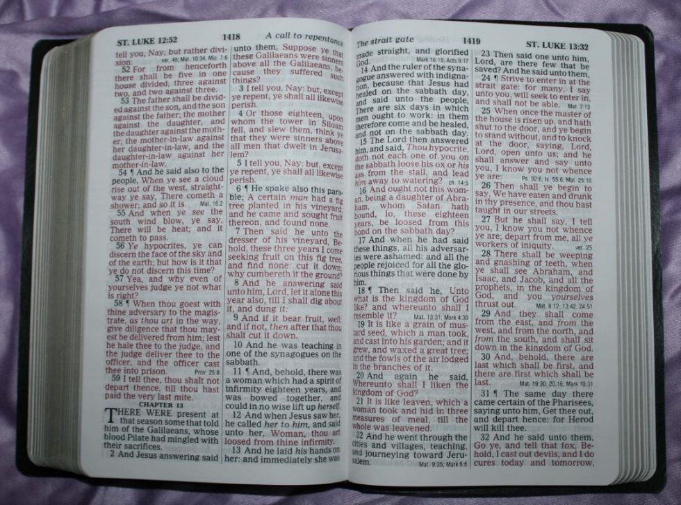 zondervan-kjv-giant-print-personal-size-reference-bible-33