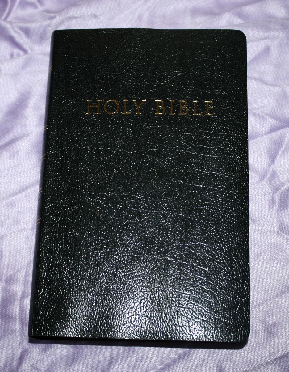 zondervan-kjv-giant-print-personal-size-reference-bible-6