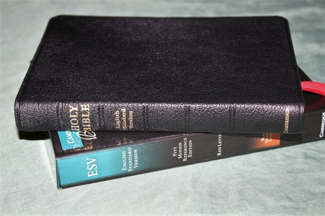 Cambridge ESV Pitt Minion in Black Goatskin – Review - Bible Buying Guide